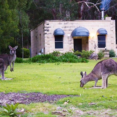 Marwood Villas Halls Gap Extérieur photo