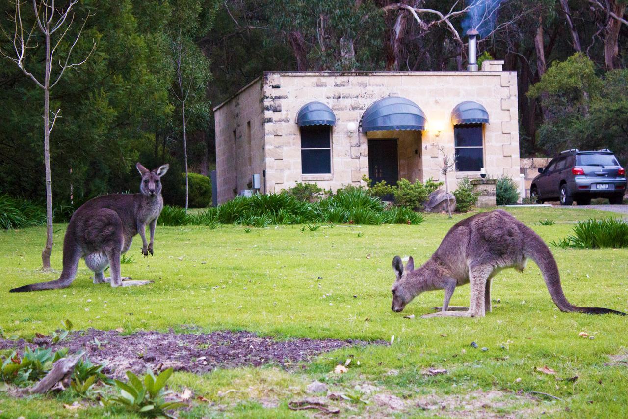 Marwood Villas Halls Gap Extérieur photo