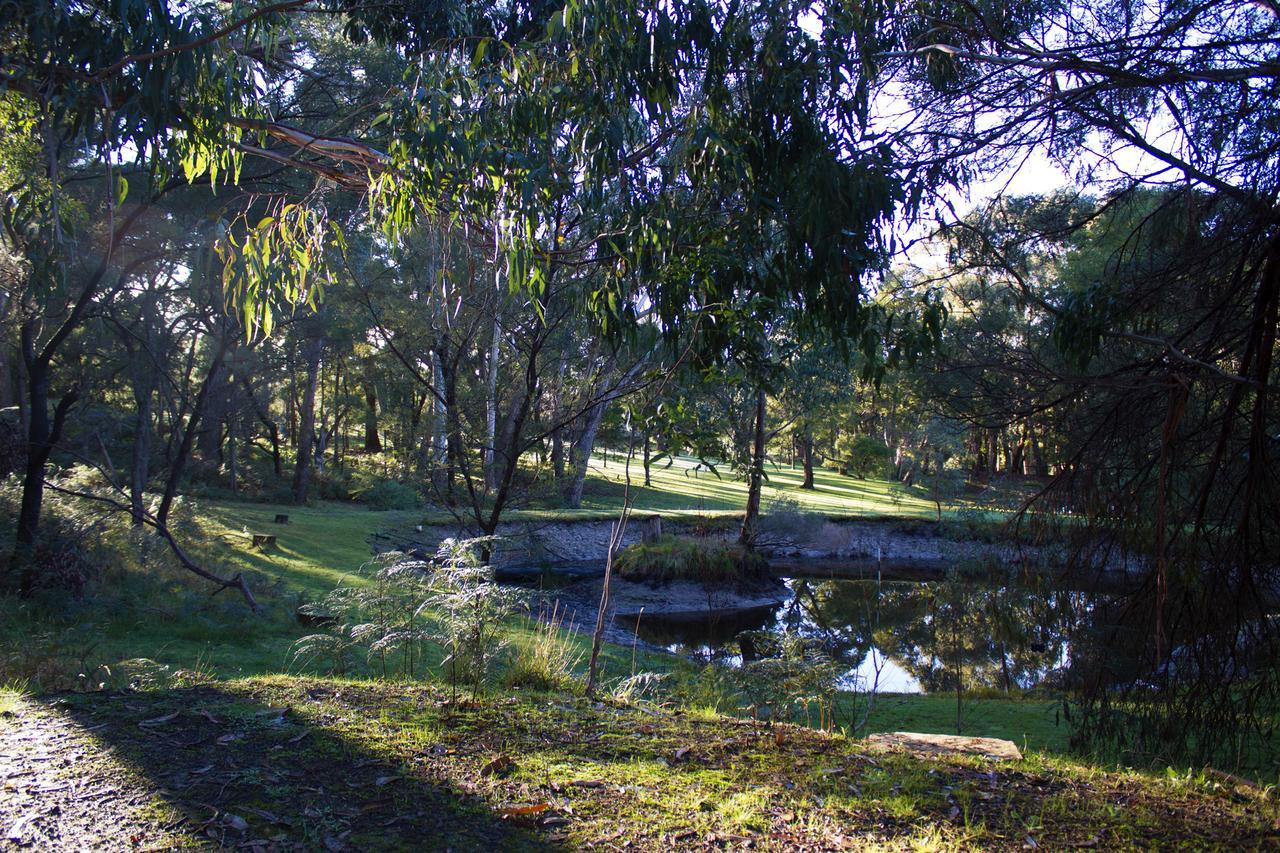 Marwood Villas Halls Gap Extérieur photo